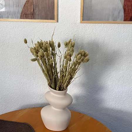 Kalia * Zánka